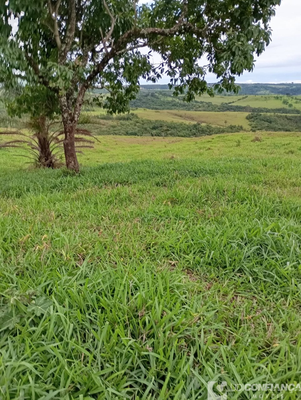 Fazenda à venda - Foto 7