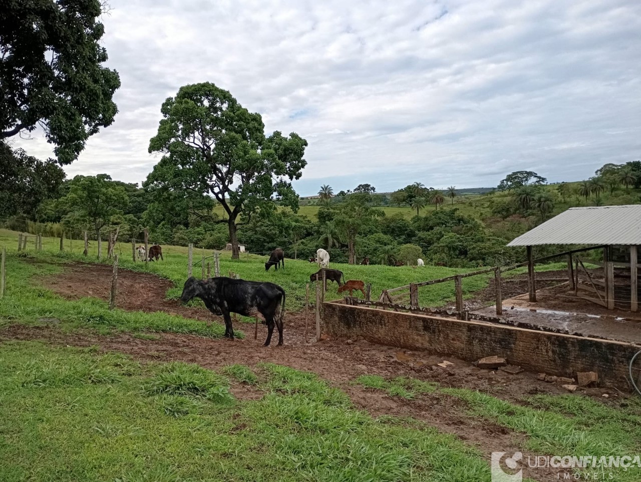 Fazenda à venda - Foto 8