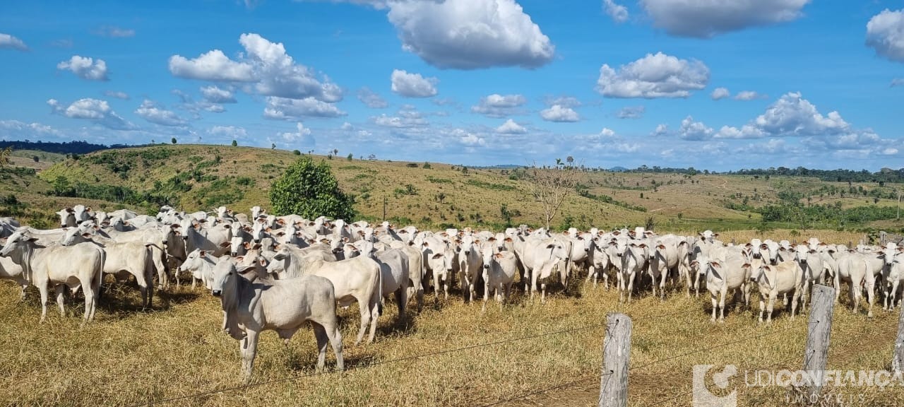 Fazenda à venda - Foto 7