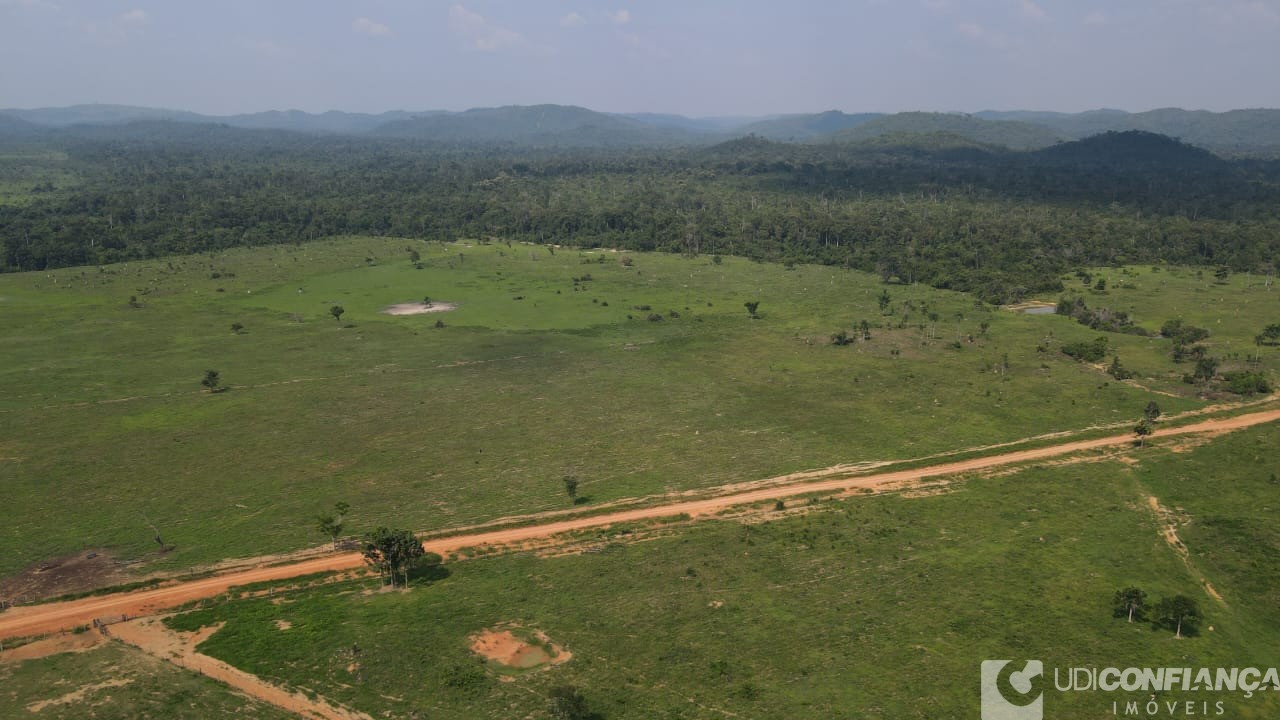 Fazenda à venda - Foto 9