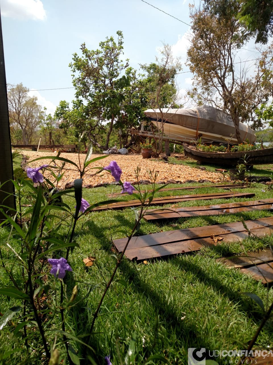 Fazenda à venda - Foto 6