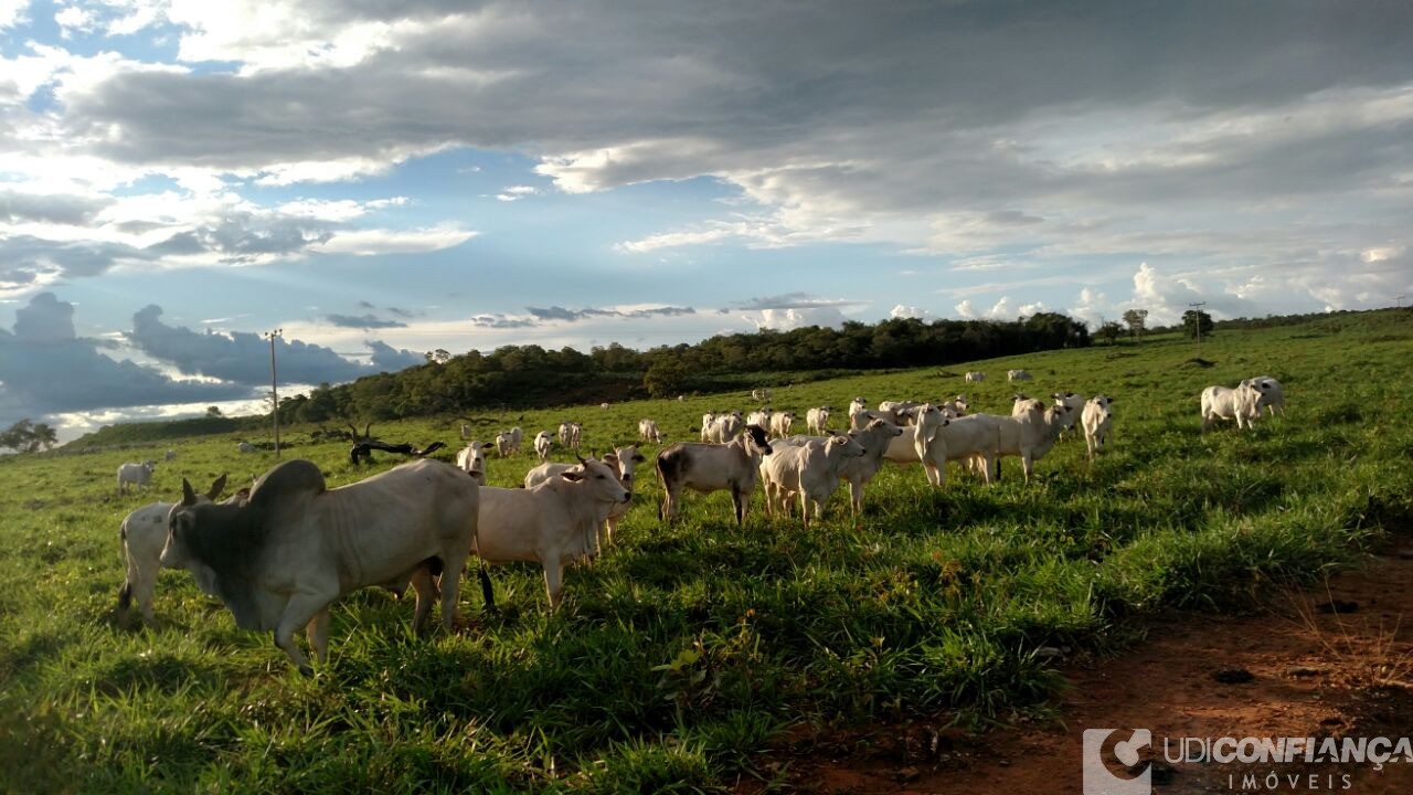 Fazenda à venda - Foto 8