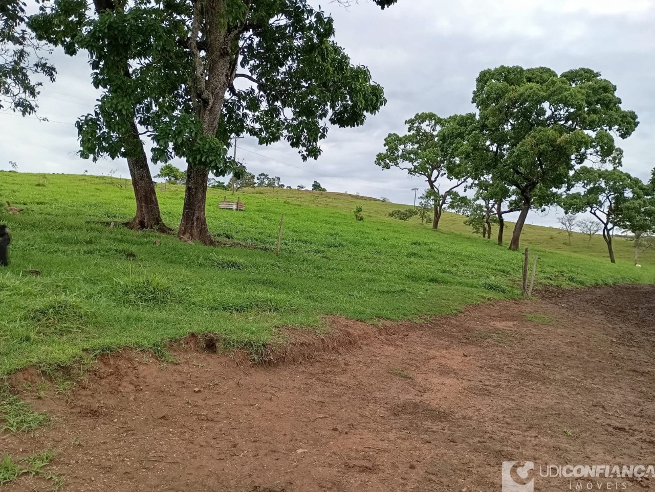 Fazenda à venda - Foto 9