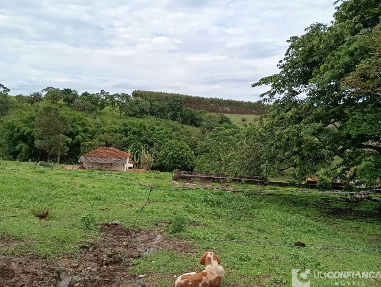 Fazenda à venda - Foto 12