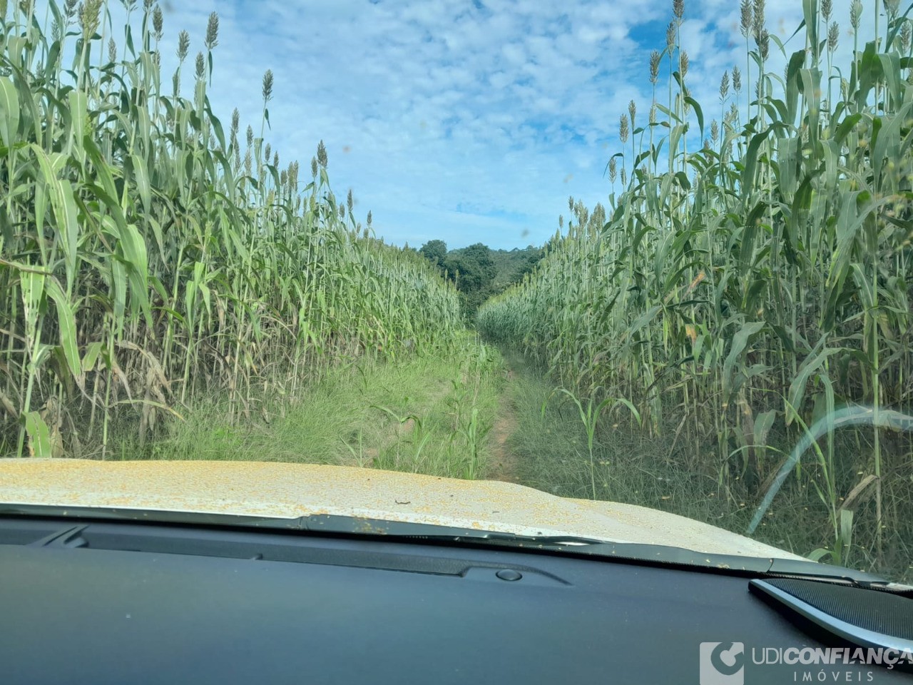 Fazenda à venda - Foto 9