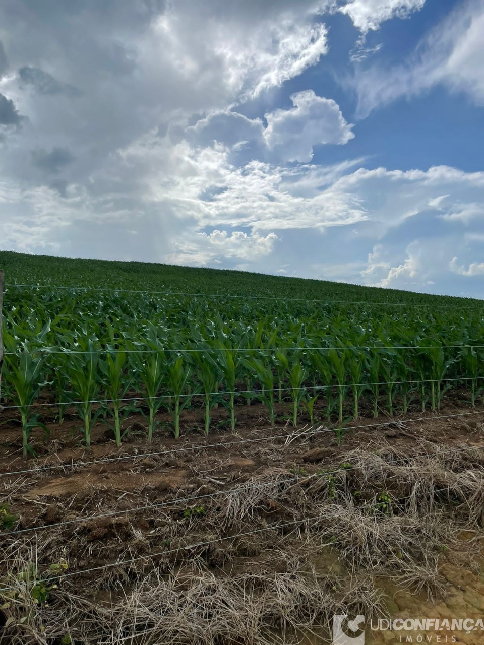 Fazenda à venda - Foto 35