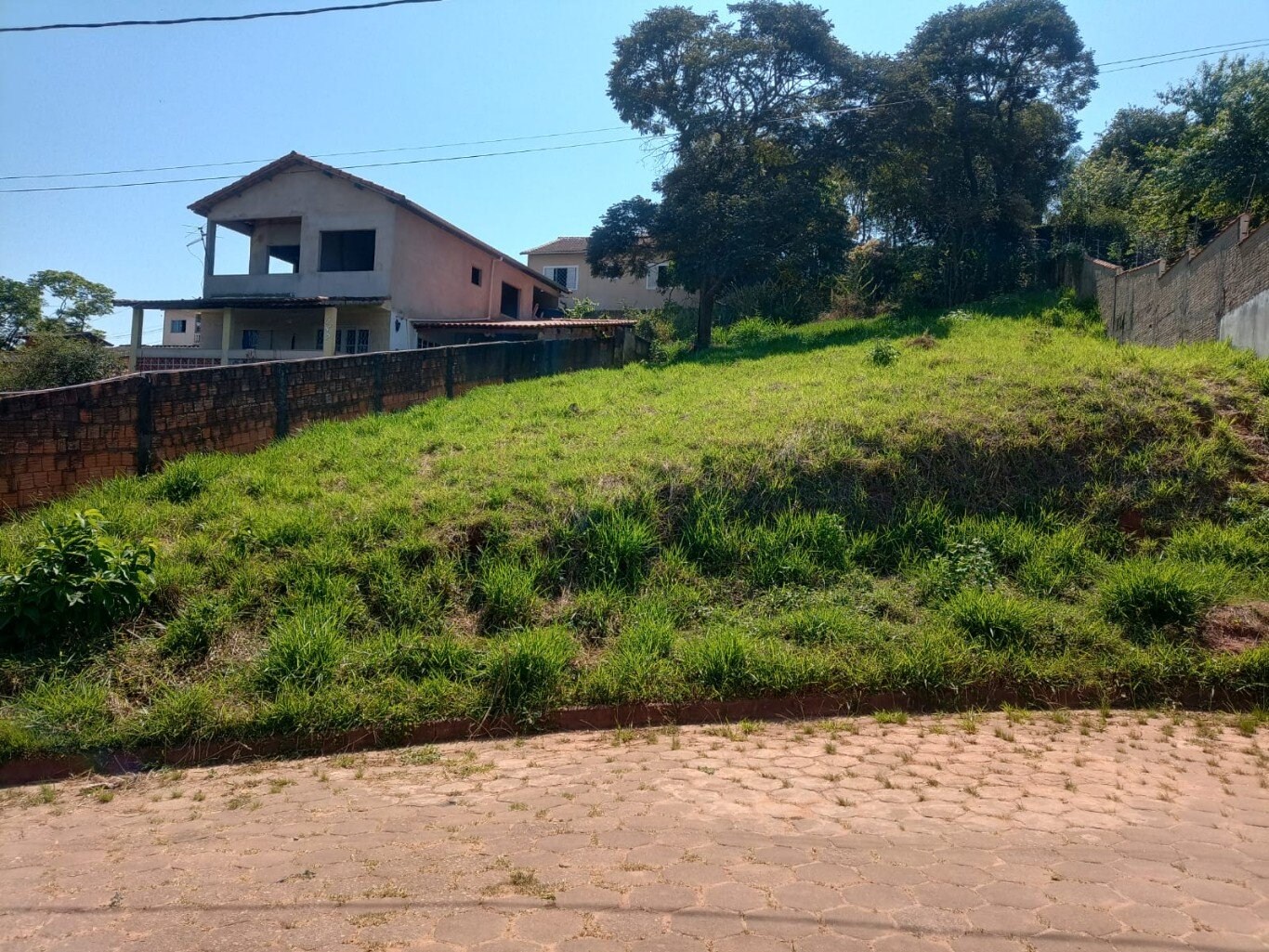 Terreno à venda - Foto 3