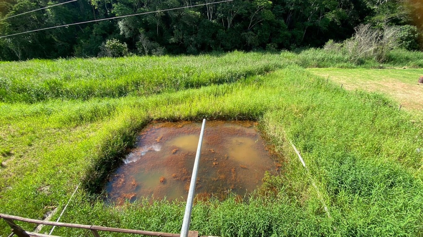 Chácara à venda com 3 quartos, 1600m² - Foto 29