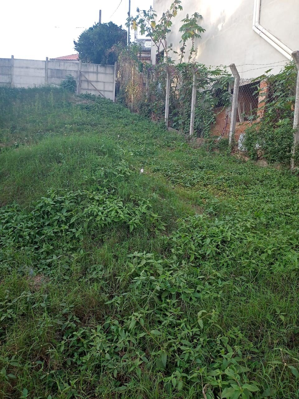 Terreno à venda, 200m² - Foto 2