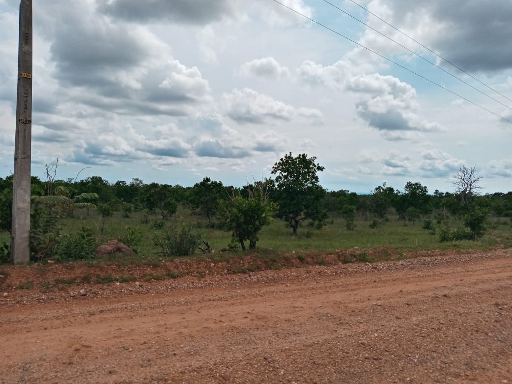 Haras e Área Rural Padrão à venda - Foto 1