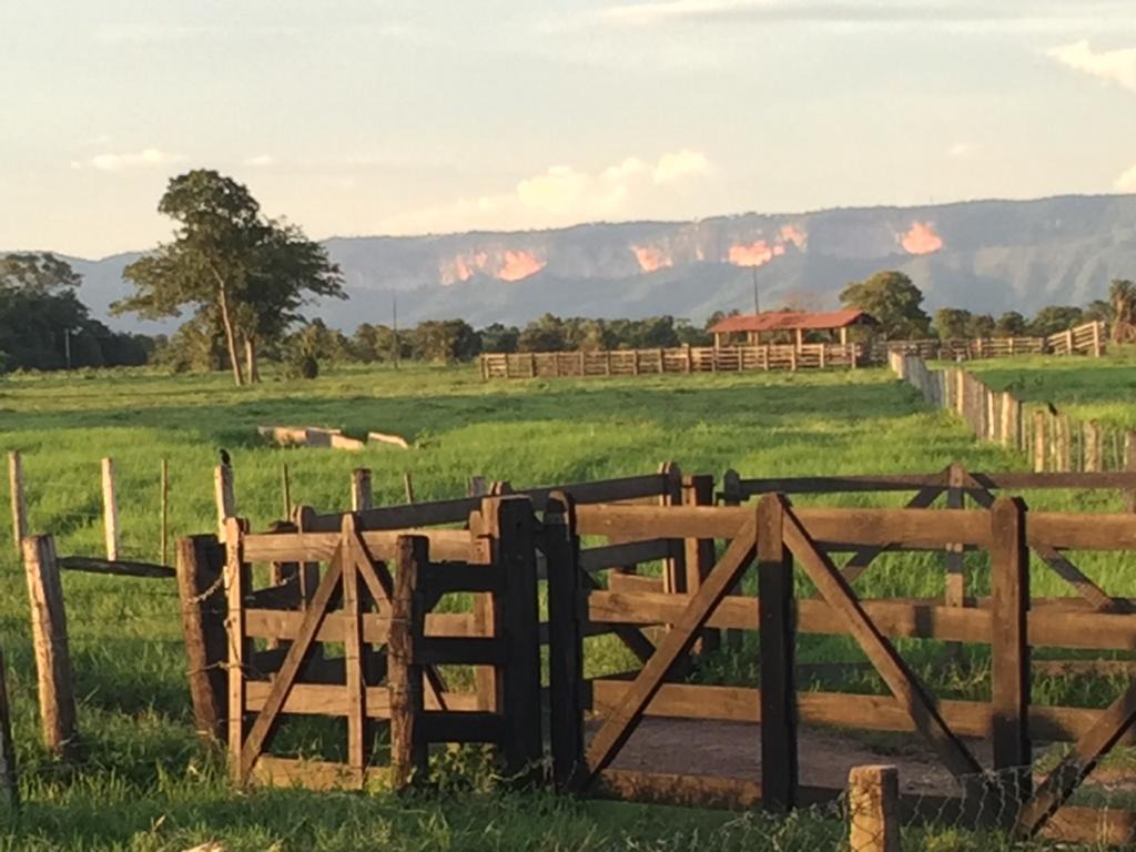 Fazenda à venda com 4 quartos - Foto 1