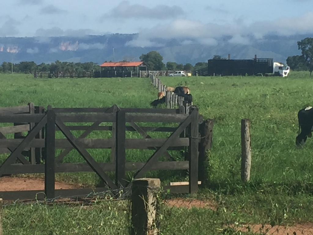 Fazenda à venda com 4 quartos - Foto 2