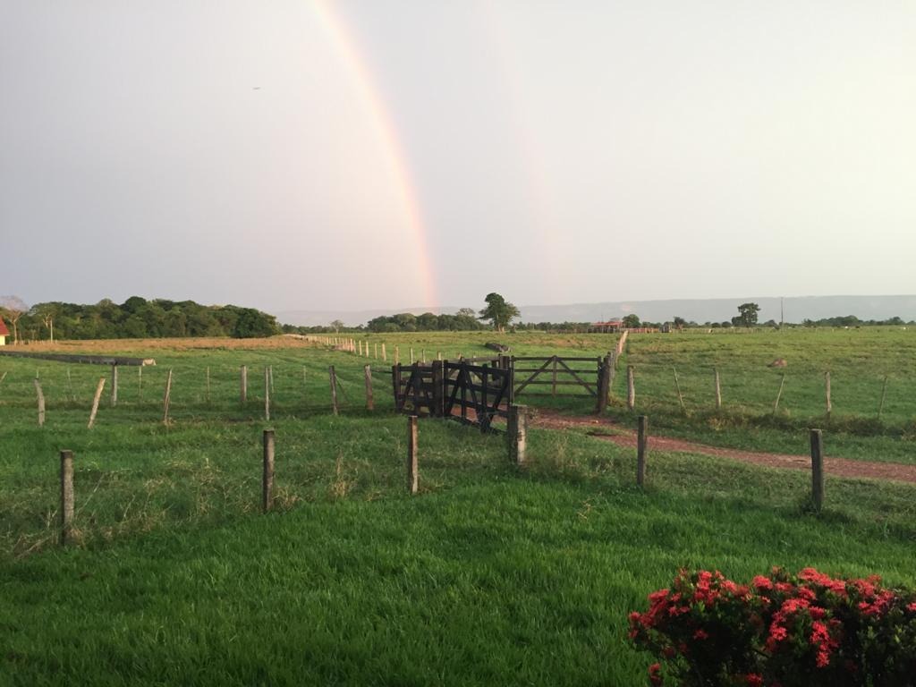 Fazenda à venda com 4 quartos - Foto 4