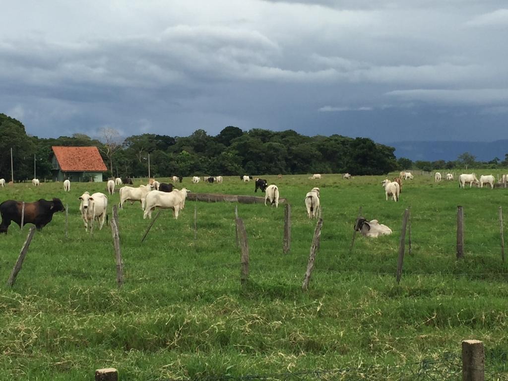 Fazenda à venda com 4 quartos - Foto 7