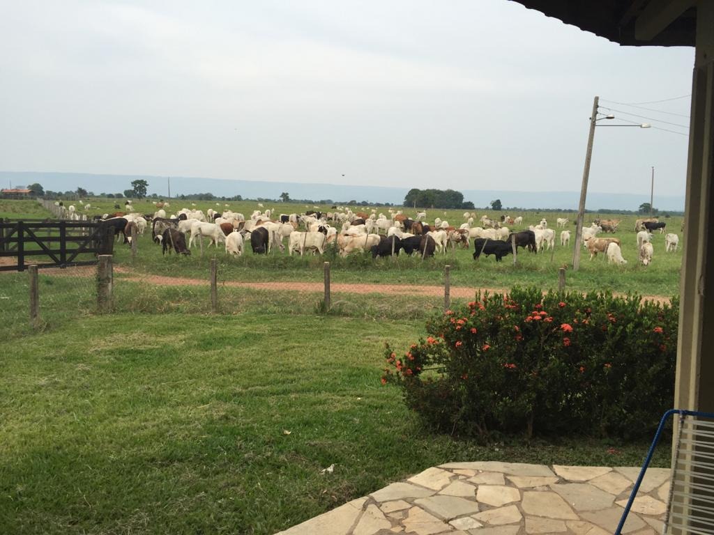 Fazenda à venda com 4 quartos - Foto 11