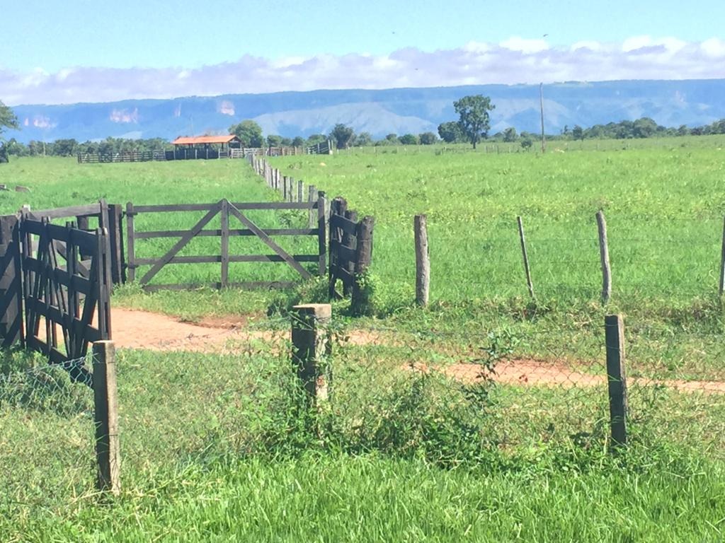 Fazenda à venda com 4 quartos - Foto 12