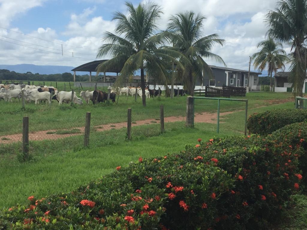 Fazenda à venda com 4 quartos - Foto 15