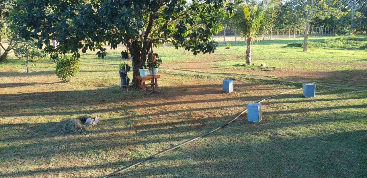 Chácara à venda com 4 quartos - Foto 4