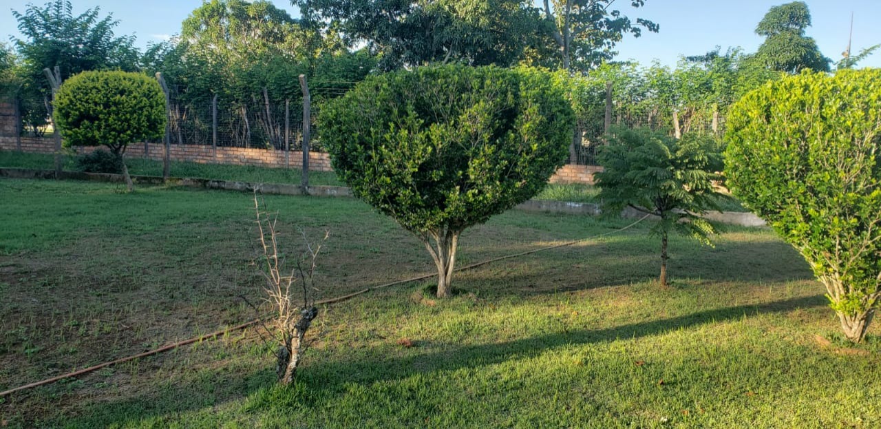 Chácara à venda com 4 quartos - Foto 6