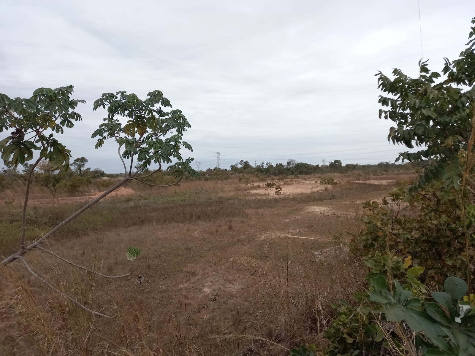 Terreno à venda - Foto 1