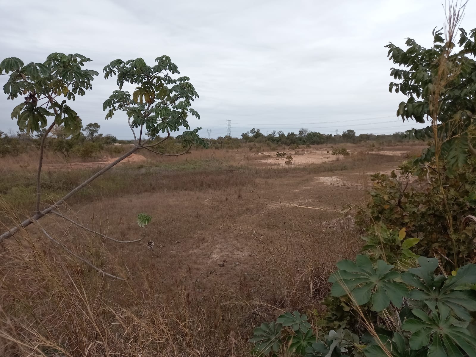 Terreno à venda - Foto 4