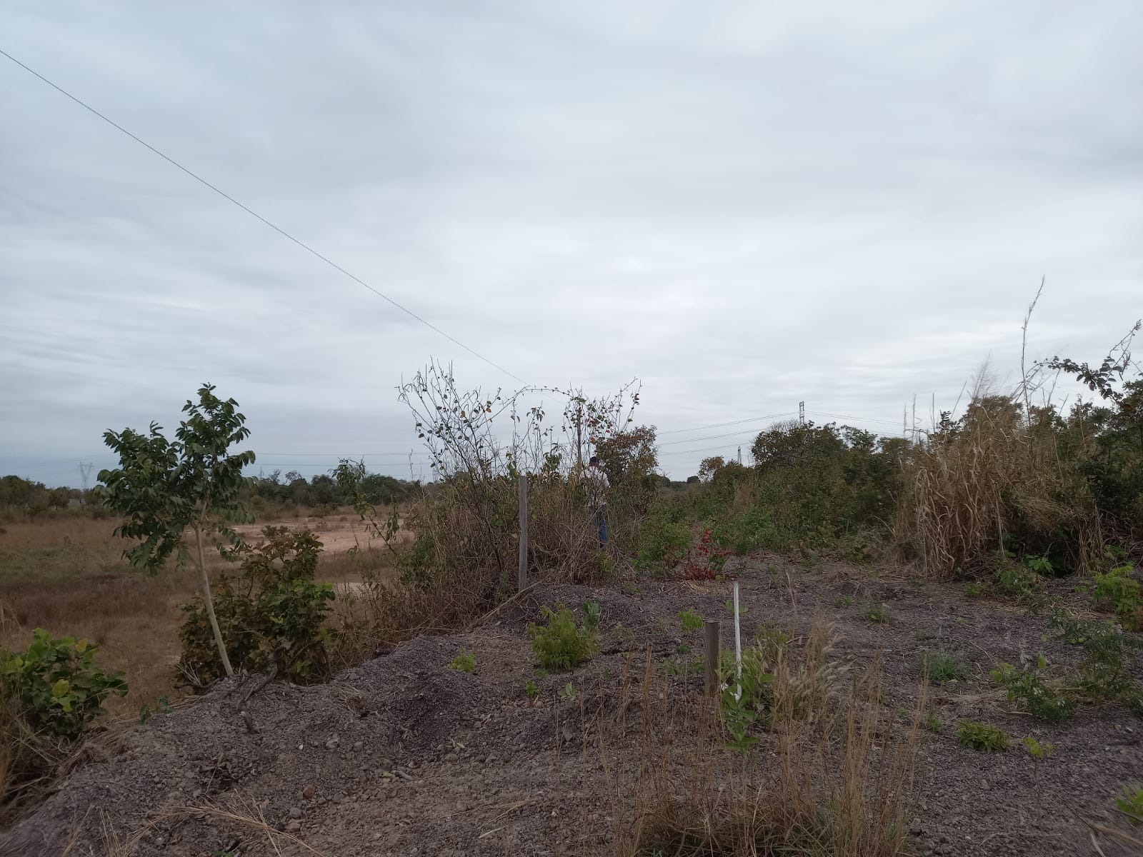 Terreno à venda - Foto 2