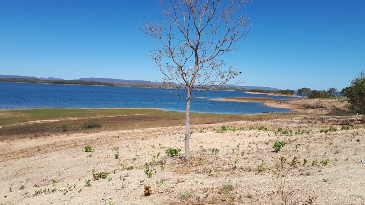 Terreno à venda - Foto 12