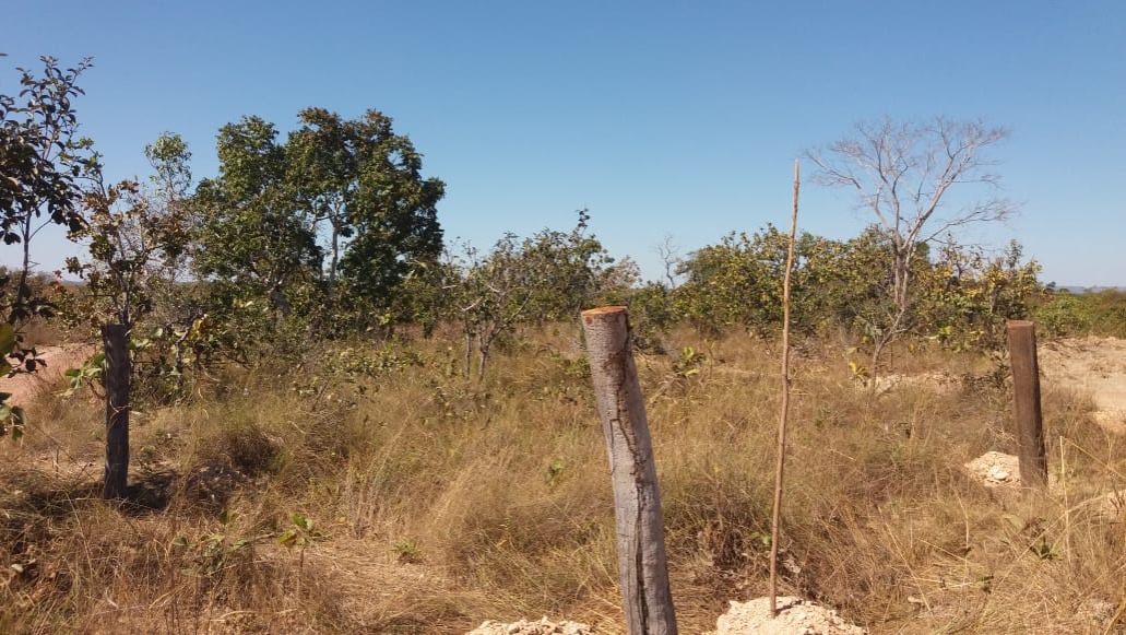 Terreno à venda - Foto 3