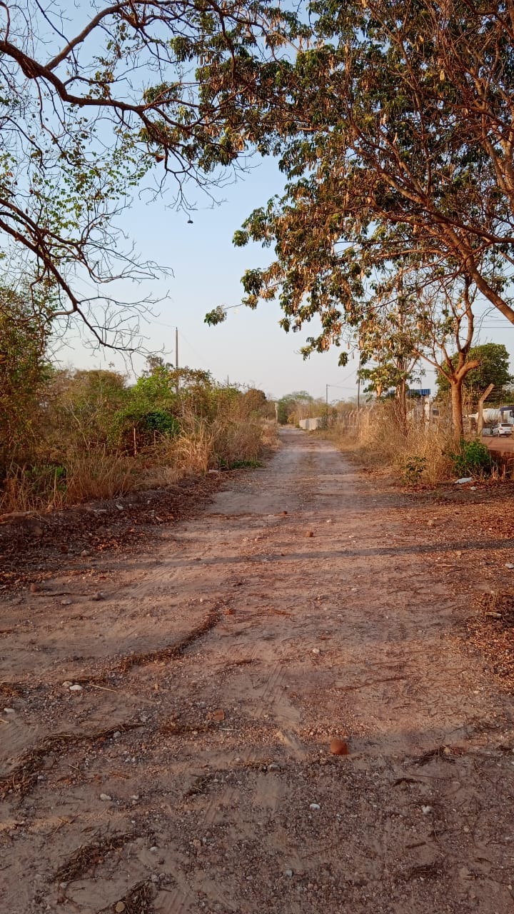 Chácara à venda com 1 quarto - Foto 3