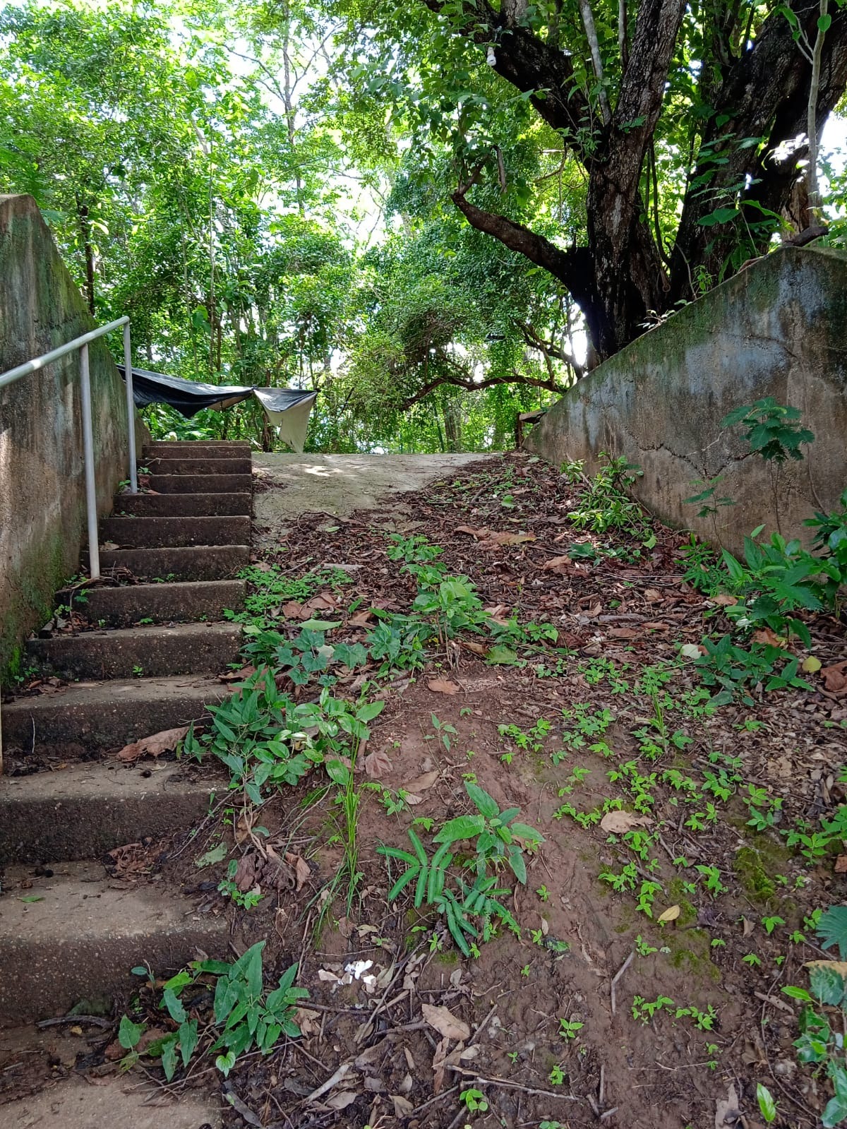 Chácara à venda com 3 quartos - Foto 4