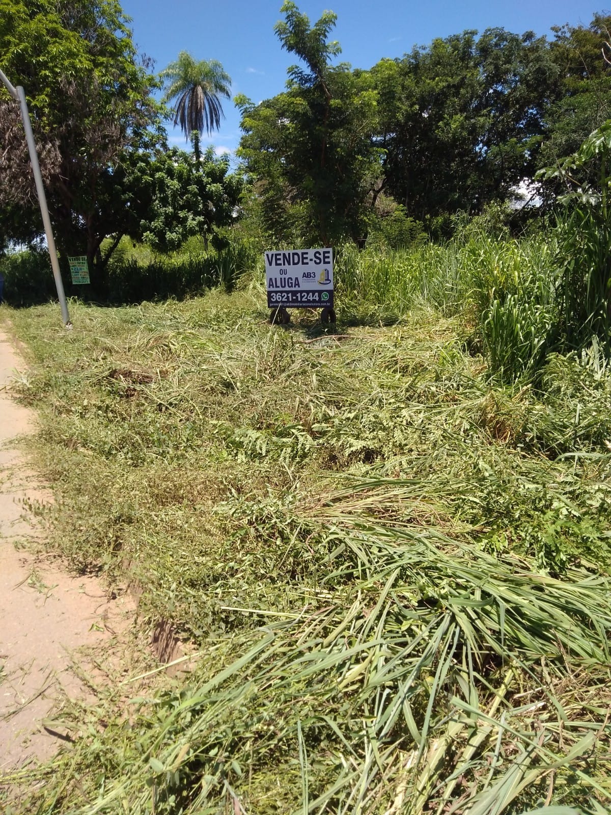 Terreno à venda e aluguel, 1m² - Foto 3