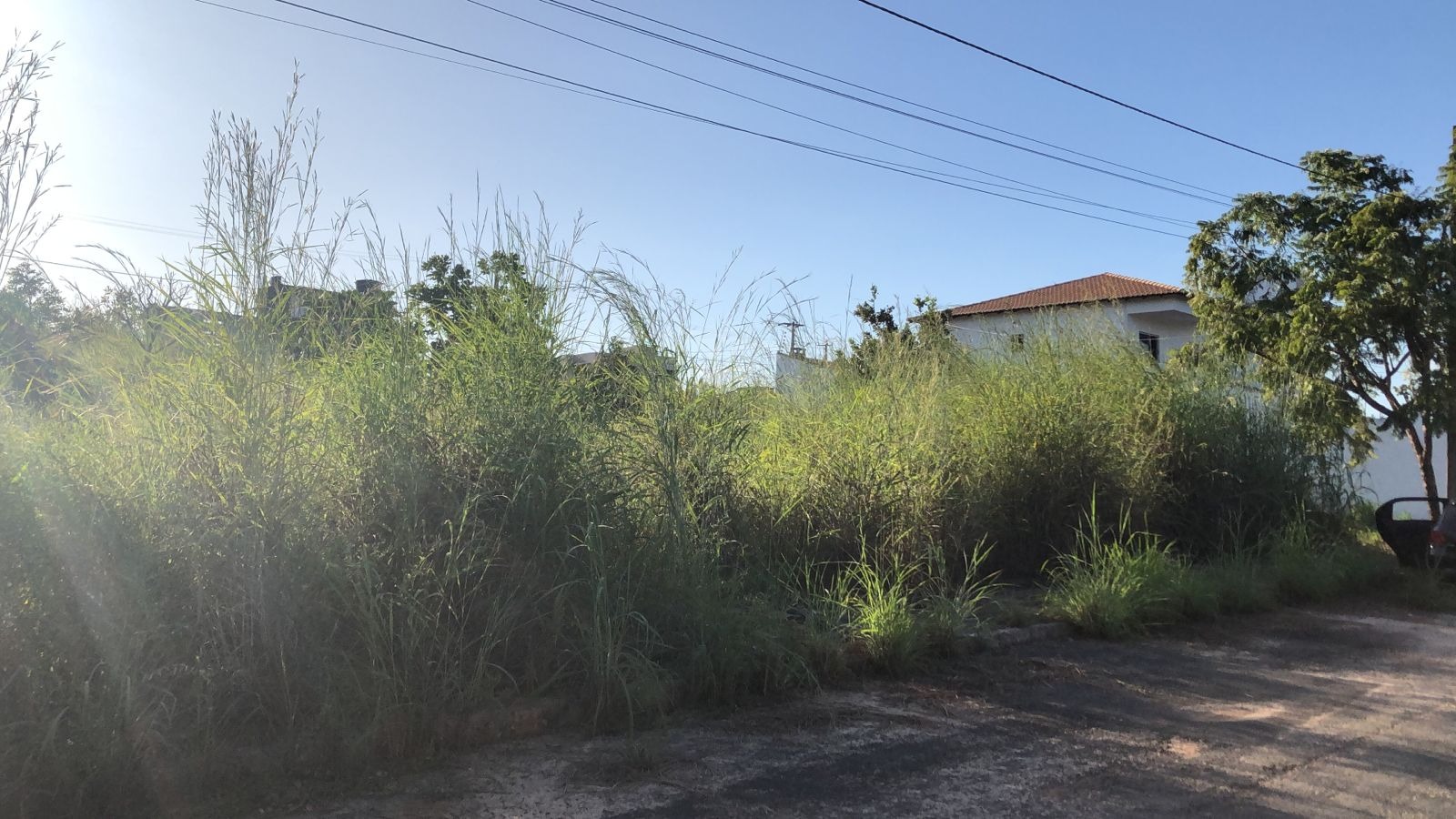 Terreno à venda - Foto 4