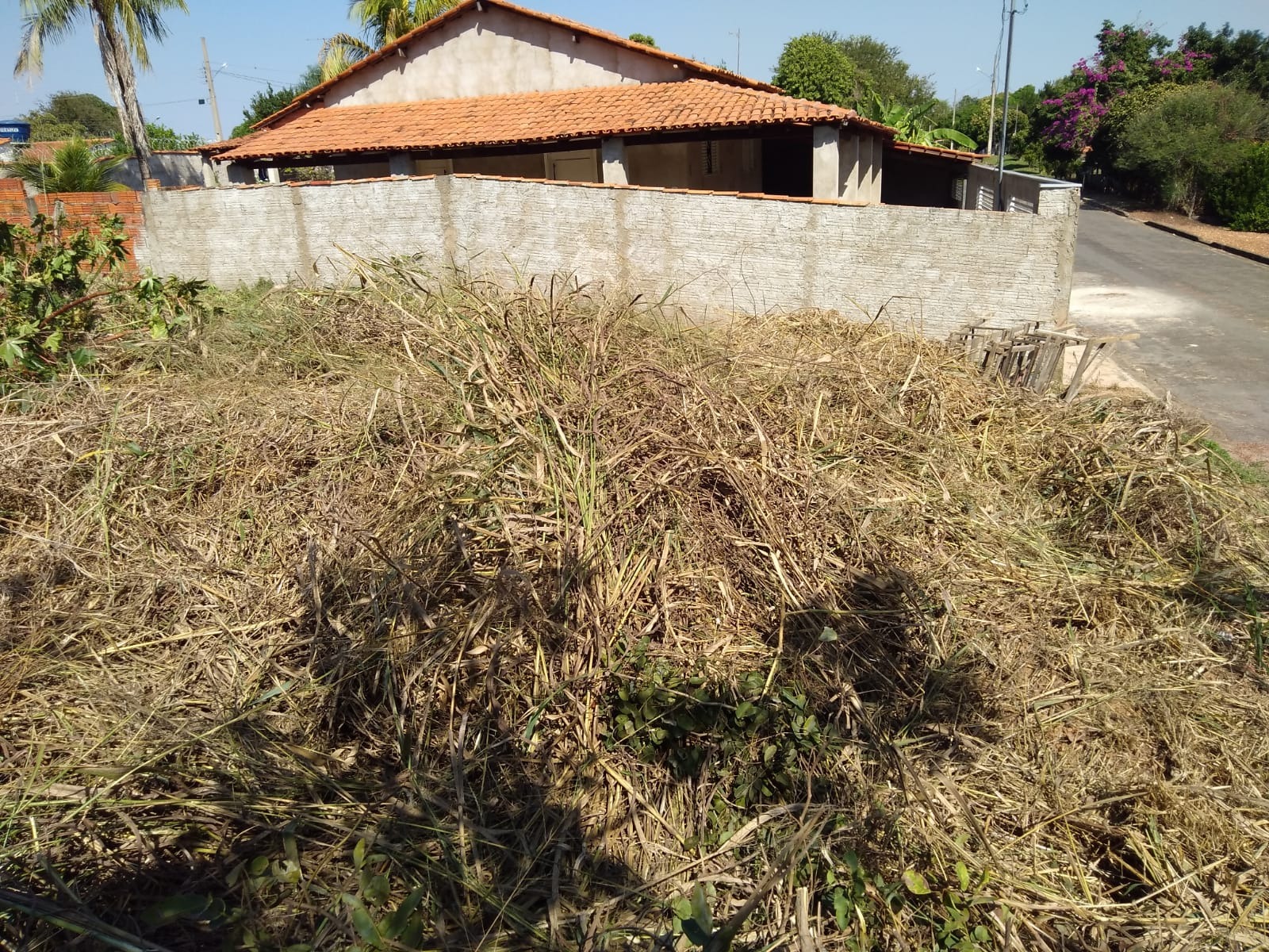 Loteamento e Condomínio à venda - Foto 5