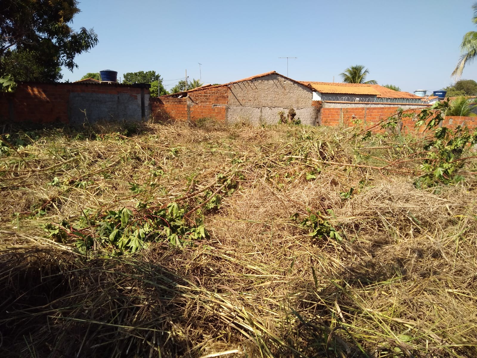 Loteamento e Condomínio à venda - Foto 6