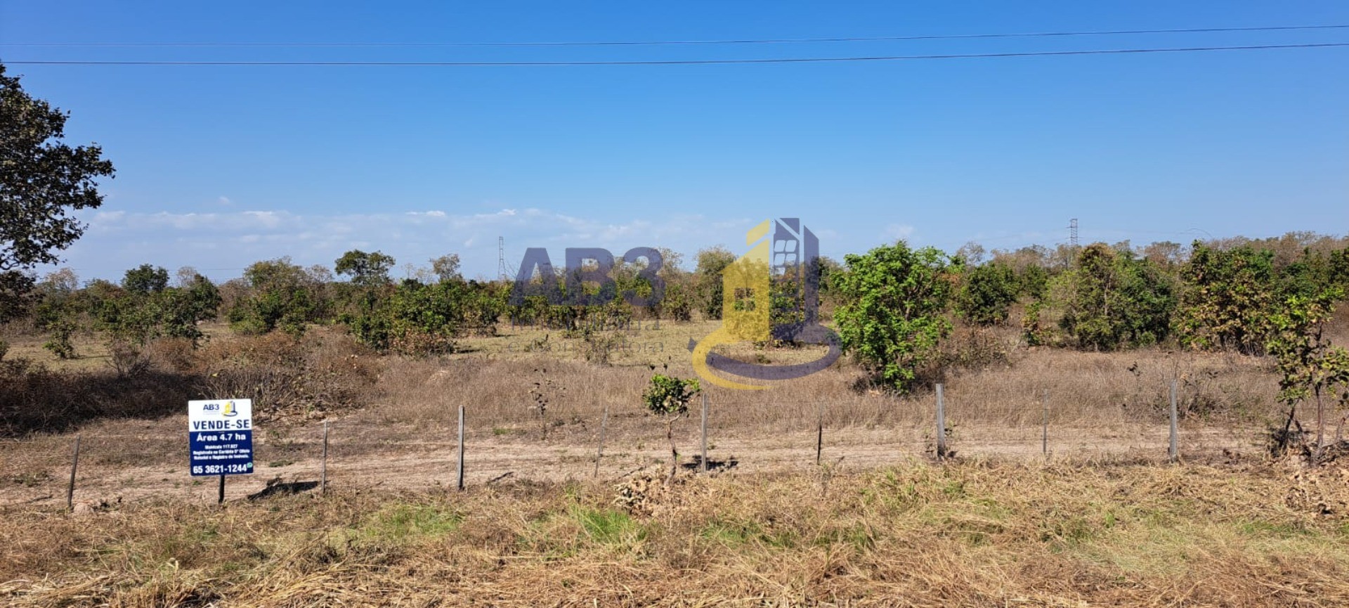 Terreno à venda - Foto 7