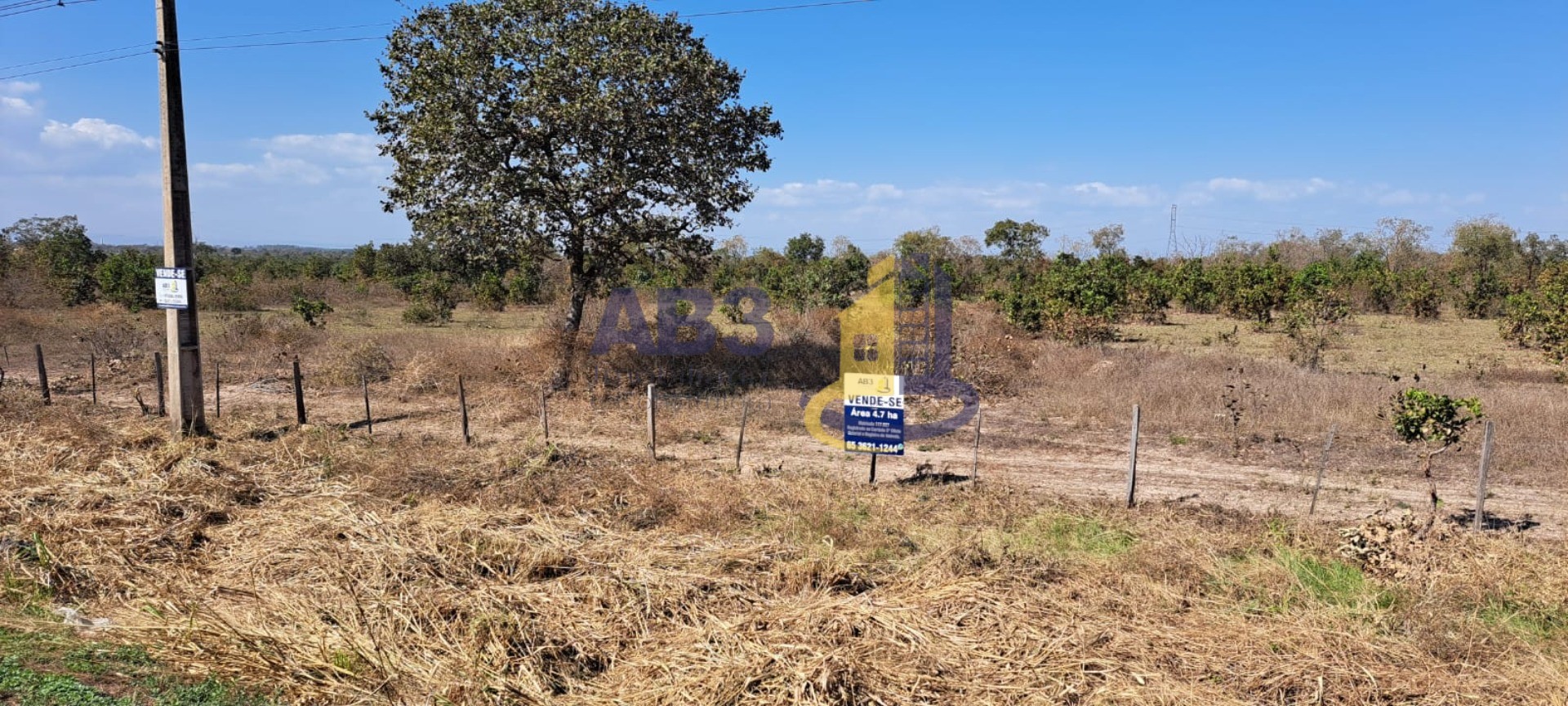 Terreno à venda - Foto 5