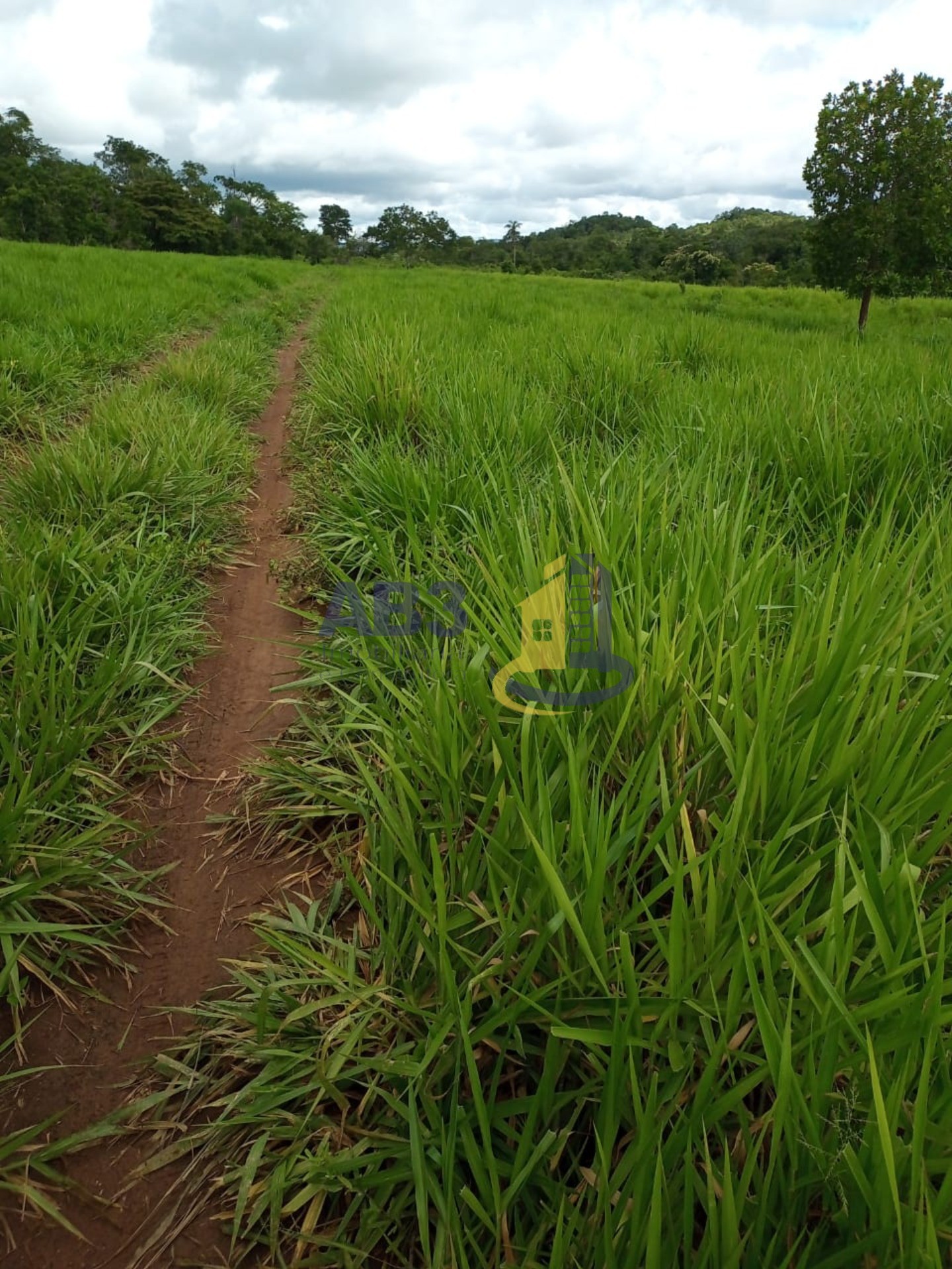 Terreno à venda, 60m² - Foto 3