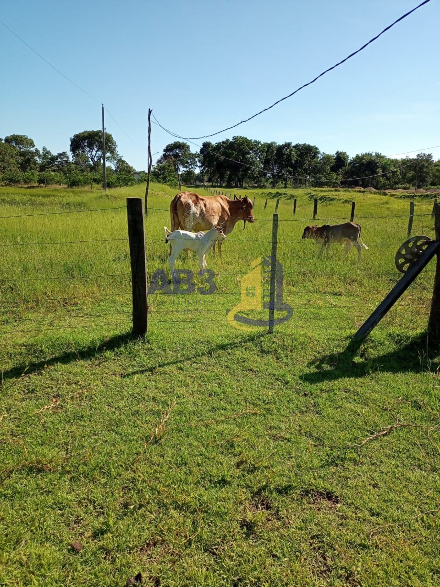 Chácara à venda, 6m² - Foto 4