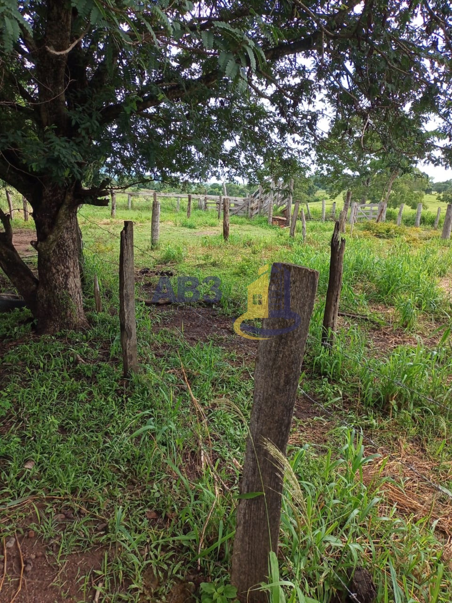 Terreno à venda, 60m² - Foto 4