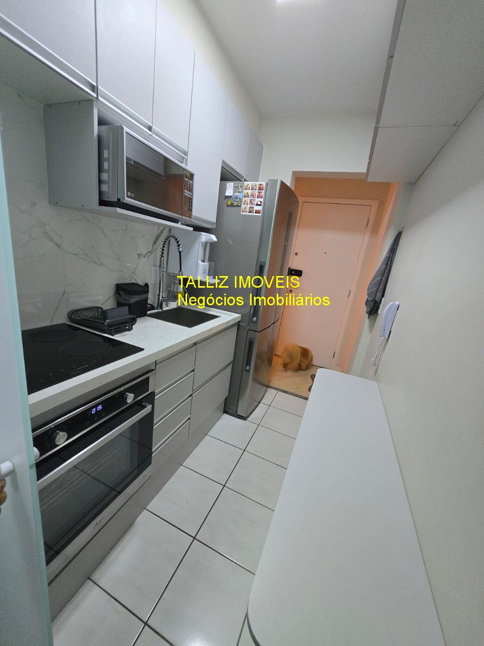 Apartamento à venda e aluguel com 2 quartos, 60m² - Foto 13