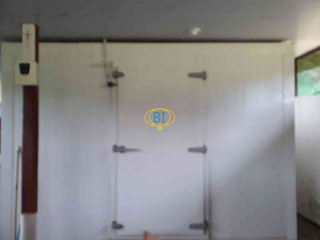 Sítio, 4 quartos, 2920 m² - Foto 18