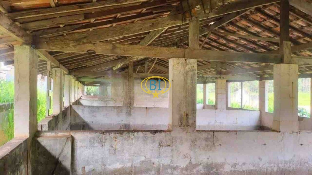 Sítio, 4 quartos, 2920 m² - Foto 31