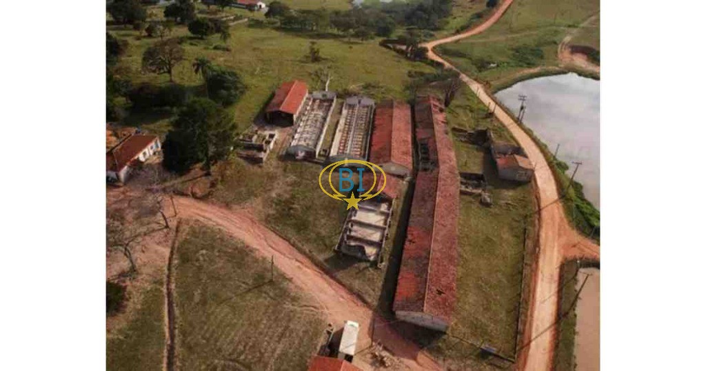 Sítio, 4 quartos, 2920 m² - Foto 10