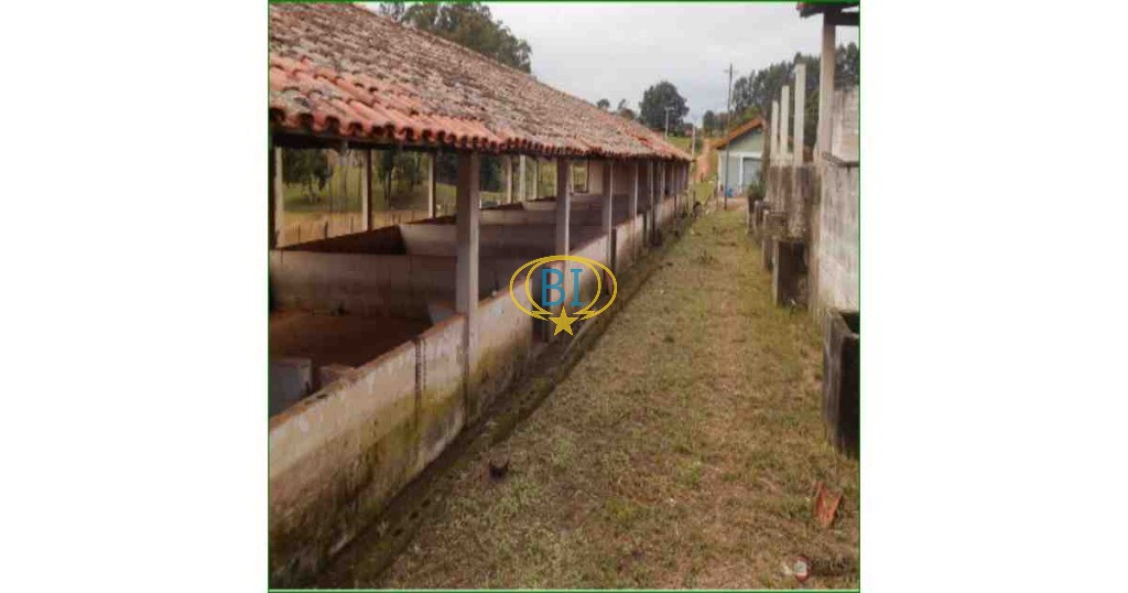 Sítio, 4 quartos, 2920 m² - Foto 13