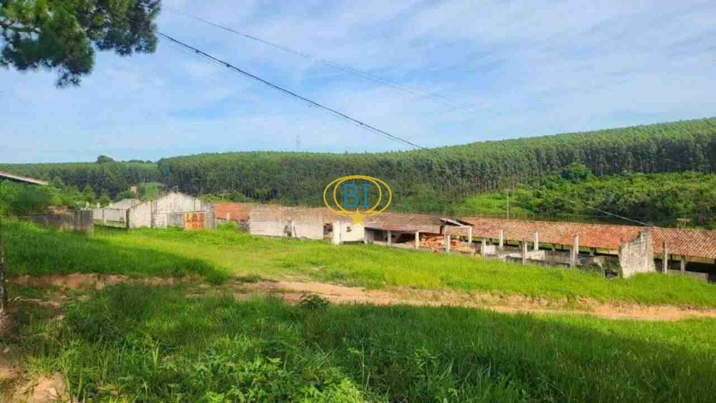 Sítio, 4 quartos, 2920 m² - Foto 34