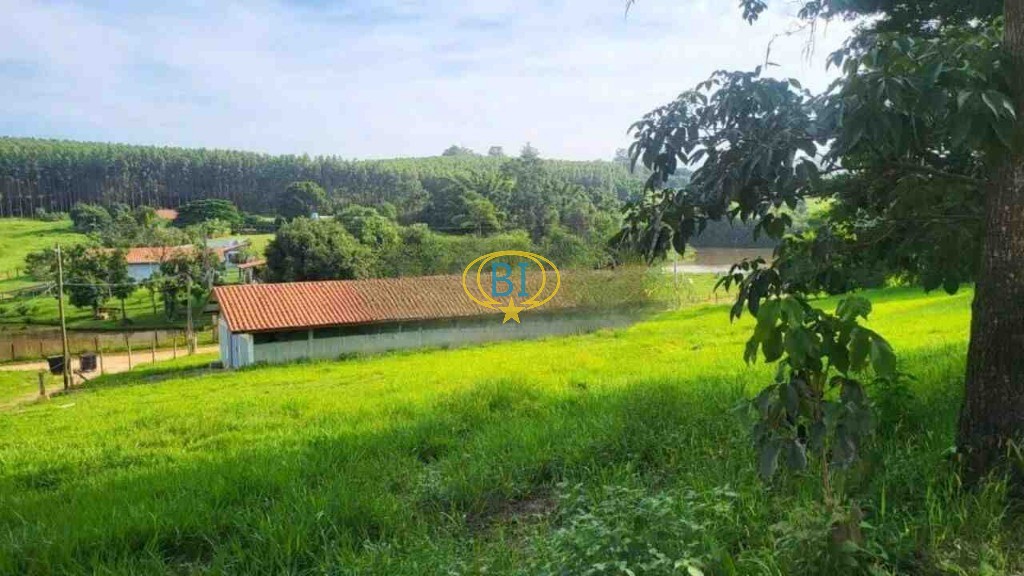 Sítio, 4 quartos, 2920 m² - Foto 35