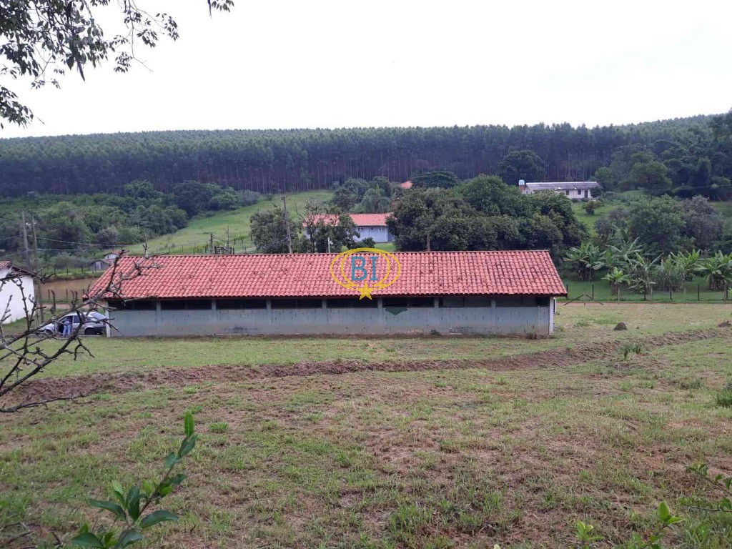 Sítio, 4 quartos, 2920 m² - Foto 23