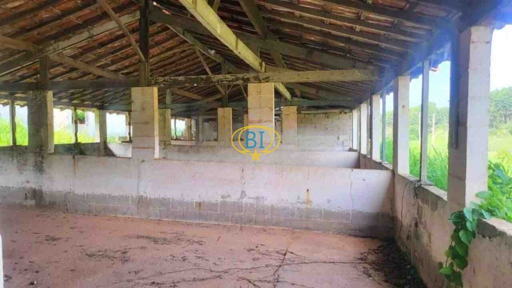 Sítio, 4 quartos, 2920 m² - Foto 29