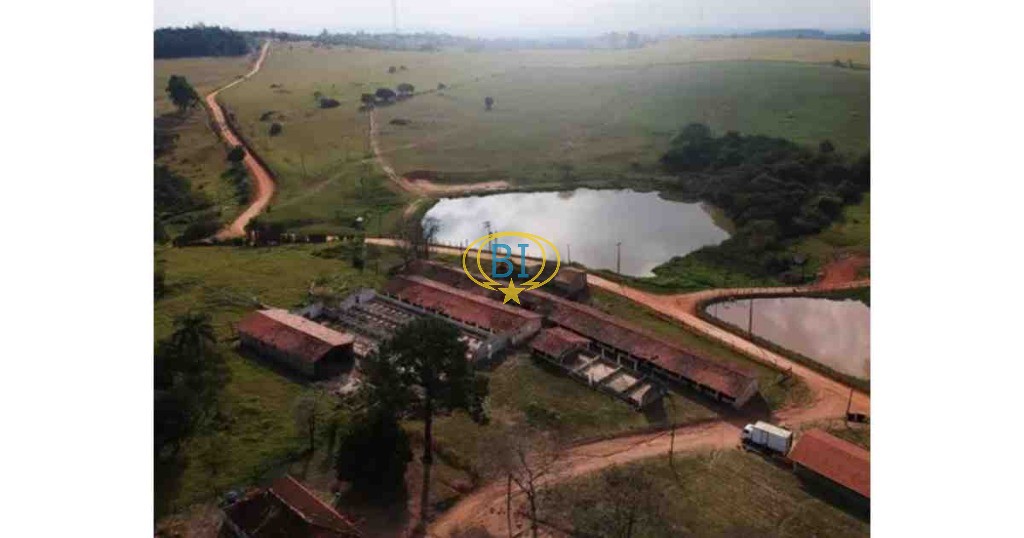 Sítio, 4 quartos, 2920 m² - Foto 6