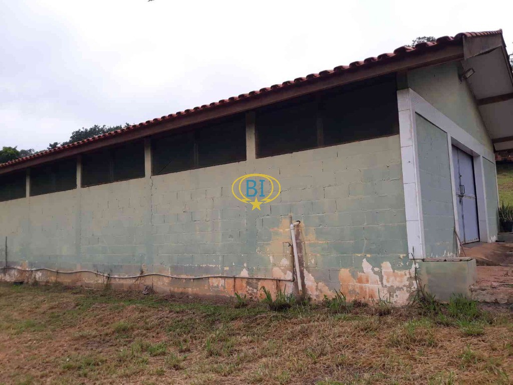 Sítio, 4 quartos, 2920 m² - Foto 21